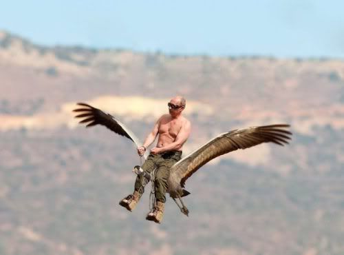 Путин на птице