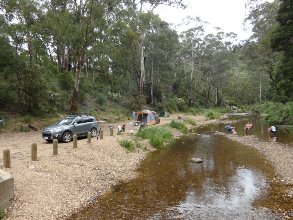 Wombat State Forest