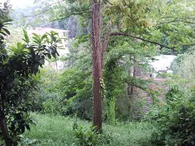 Майский Стамбул