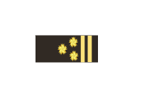 Pilot Rank Director Pilot Rank Director