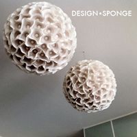  photo design-sponge-1.jpg