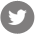  photo icon-twitter-3.png