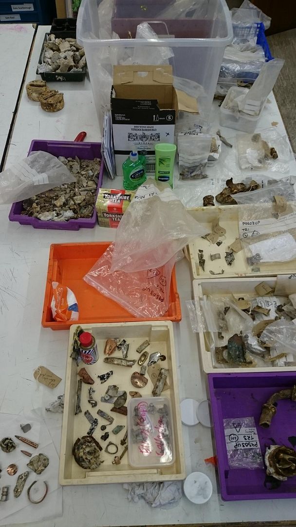  photo DSC_0062_zps0o2twxnw.jpg