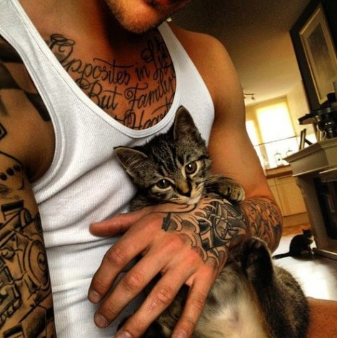 photo kitty1_zpsc1d51ed7.png