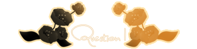 Question-01-1.png