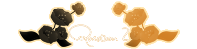 Question-02.png