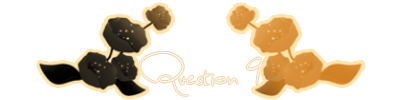 Question-09.png
