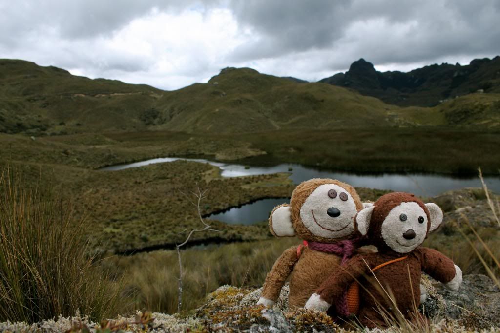 Bimbino and Bambina in Cajas