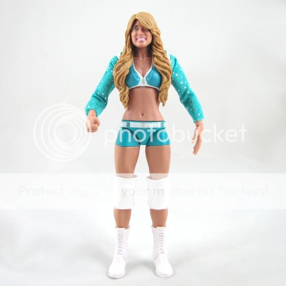 100YC WWE Diva Mattel Elite 17 Kelly Kelly Figure