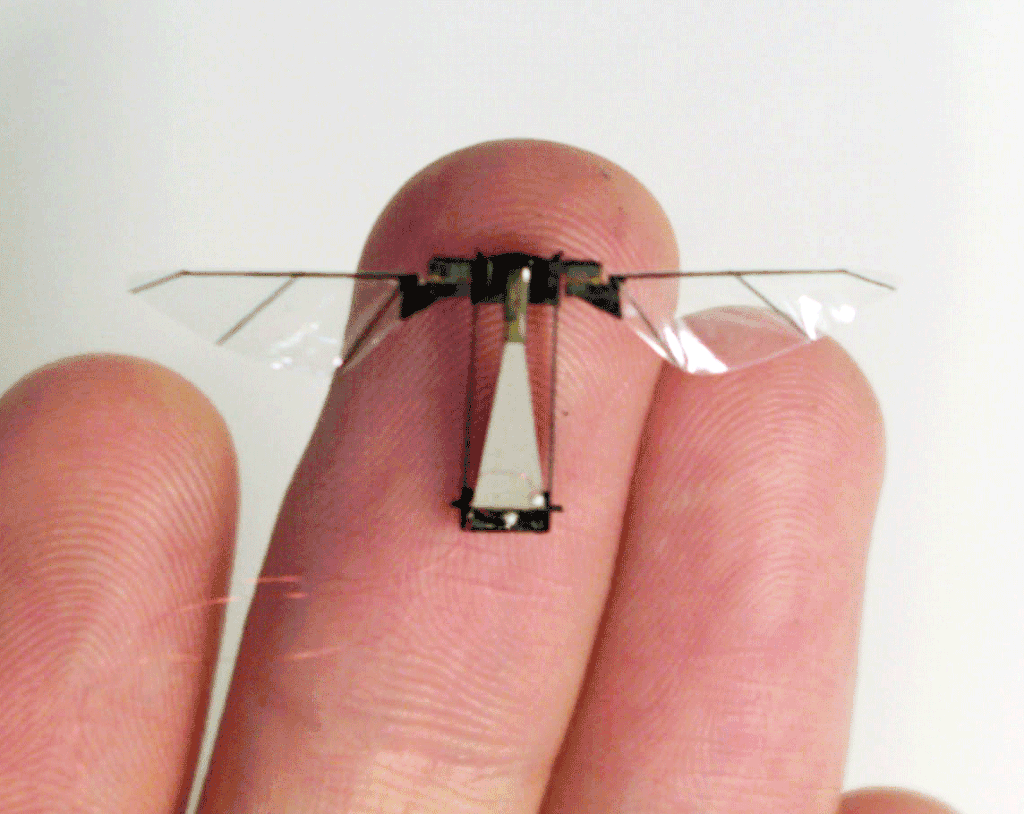  photo robot-fly-large-10-16-09_zpssfcgldo8.gif