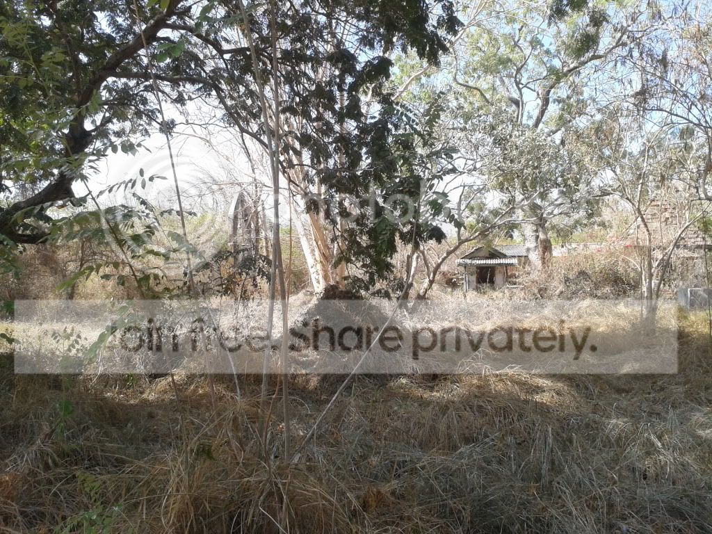 2012-07-12090034.jpg