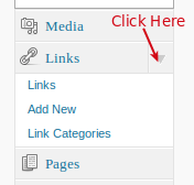 Links in WordPress